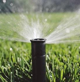 Sprinkler repair service